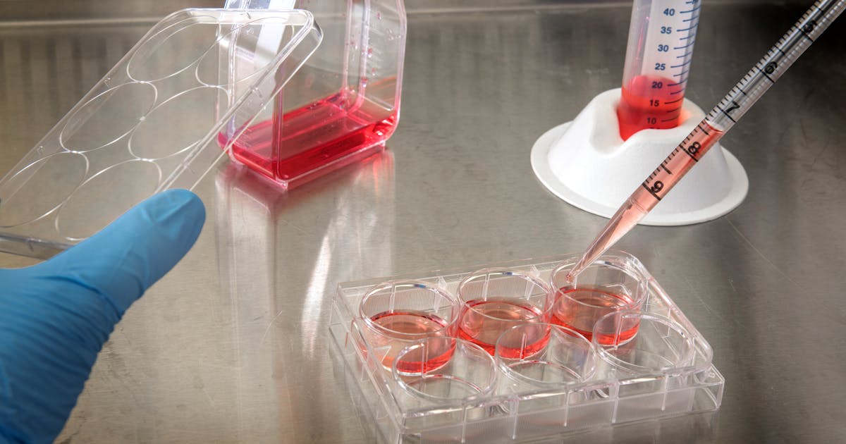 Stem Cell Therapy Breakthroughs: From Lab to Clinic in Regenerative Medicine