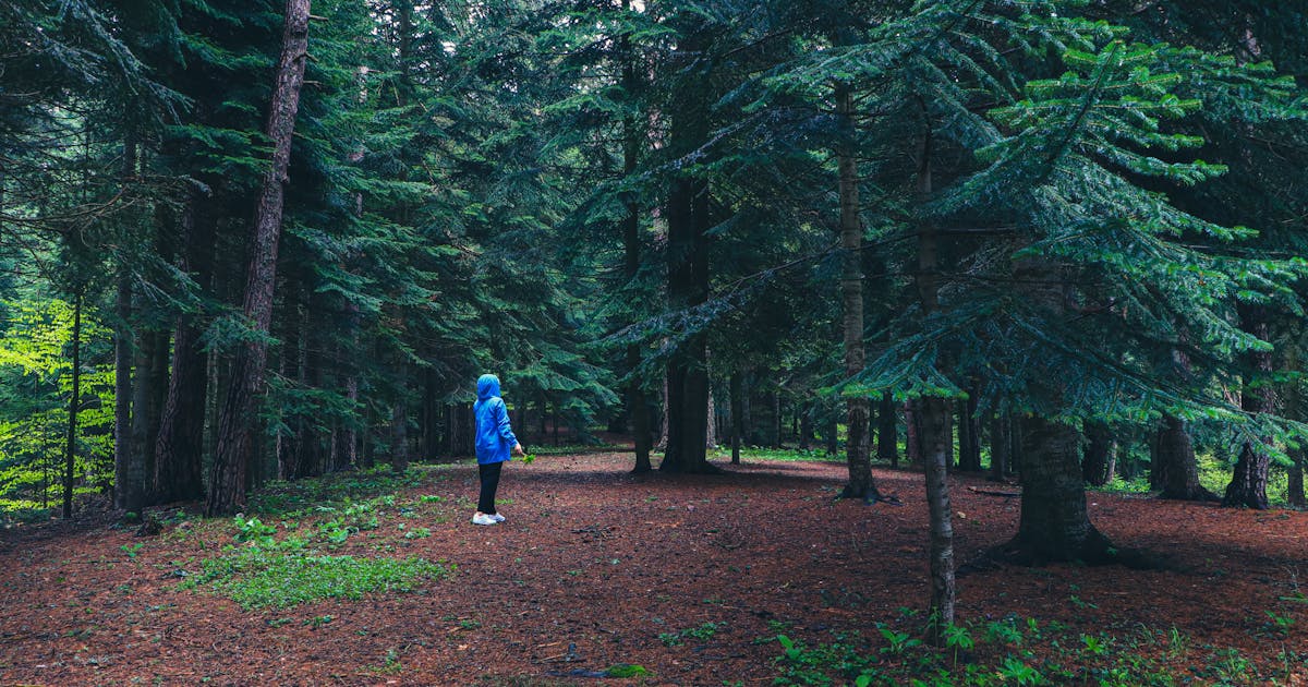 Nature Exposure Lowers Cortisol and Anxiety Levels According to New Research