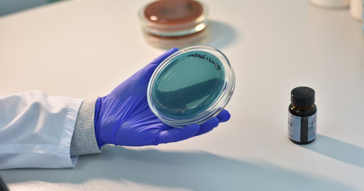 Gut Brain Axis Breakthroughs Illuminate New Mental Health Pathways