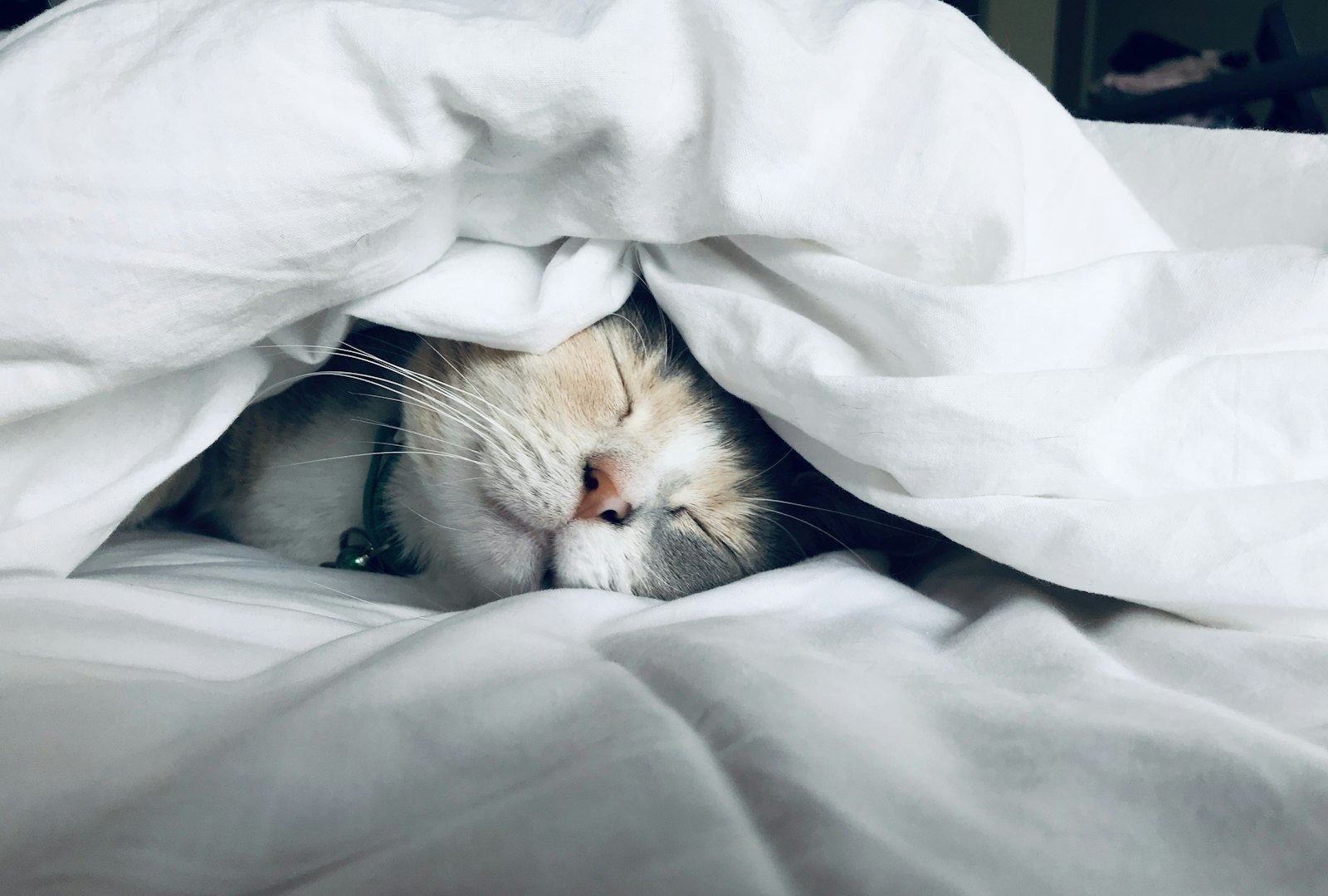 Practical Habits for Improving Sleep Energy and Overall Health: The Restorative Vitality Guide