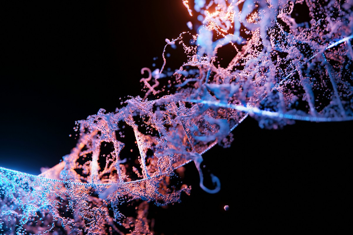 Epigenetic Clock Aging Biomarkers: DNA Methylation Gradients, Horvath Clock Algorithms, and Biological Age Reversal
