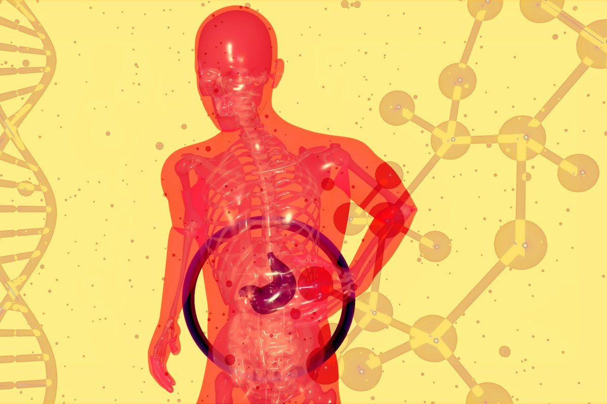 Fructose-Induced Hepatic De Novo Lipogenesis and Uric Acid Generation: AMP Deaminase Activation and Non-Alcoholic Steatohepatitis