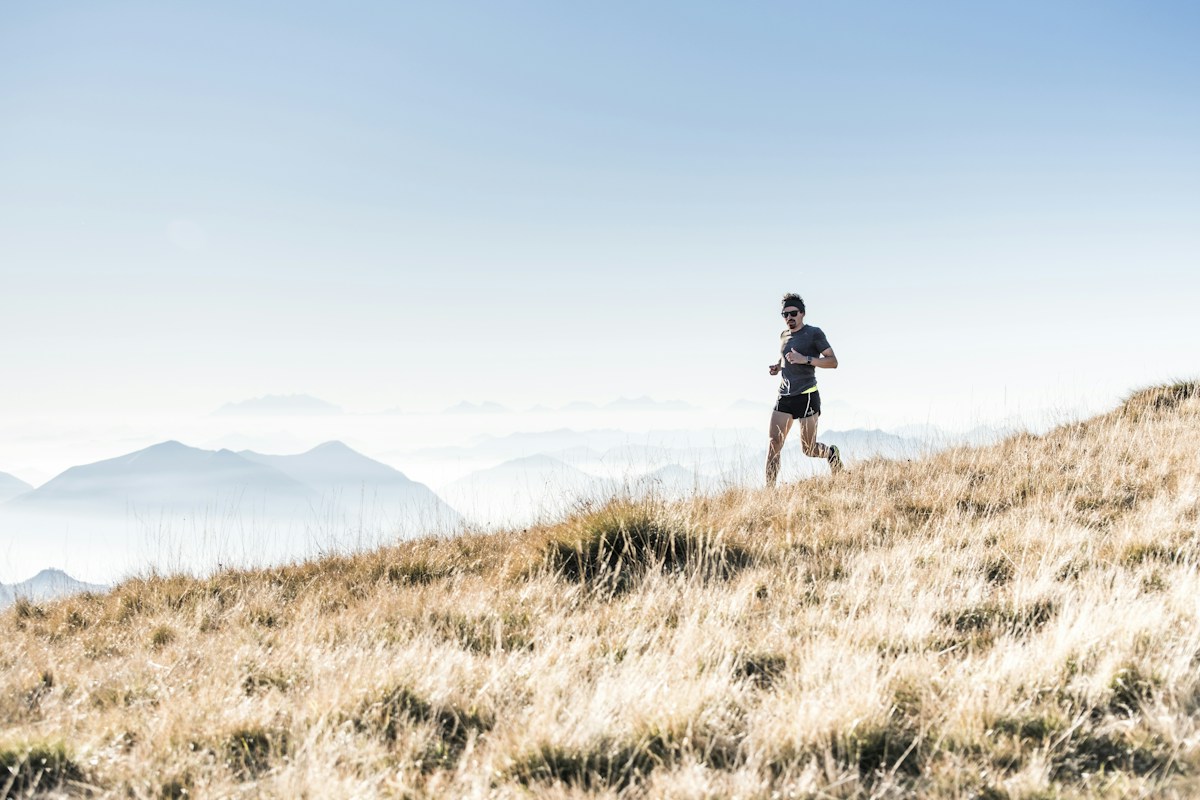 High-Altitude Hypoxia Training Adaptations: Erythropoietin Kinetics, Capillarization, and Ventilatory Acclimatization