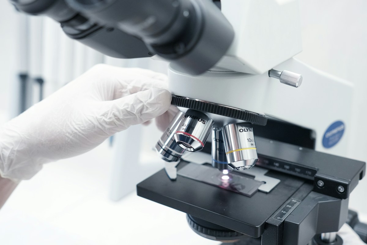 Systemic Lupus Erythematosus Diagnosis: Autoantibody Profiling, Renal Involvement, and Biologic Interventions